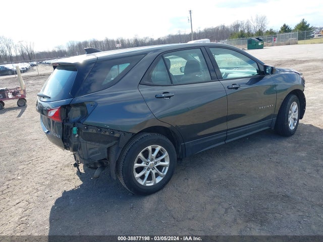 Chevrolet EQUINOX LS 2019 2GNAXSEV3K6155501 Image 4