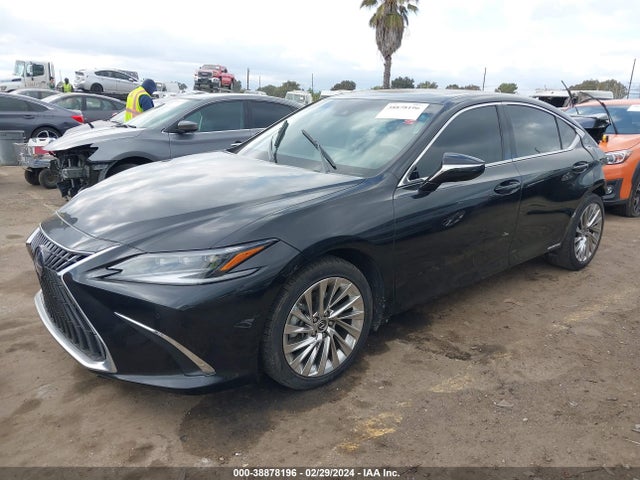 58AEA1C1XNU025991 Lexus Es 300h Luxury