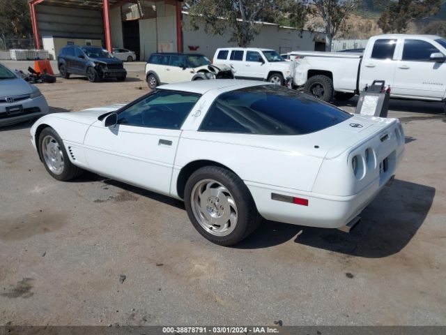 1995 CHEVROLET CORVETTE 1G1YY22P9S5102784 Photo 2