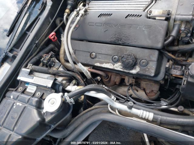 1995 CHEVROLET CORVETTE 1G1YY22P9S5102784 Photo 5