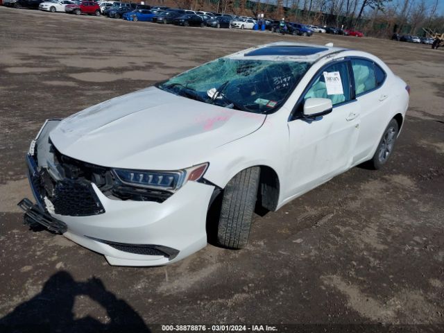 19UUB1F31LA016730 Acura Tlx Standard