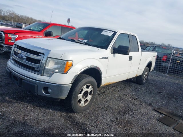 Ford F-150 Xlt 2014 1FTEX1EM0EFB88509 Image 2