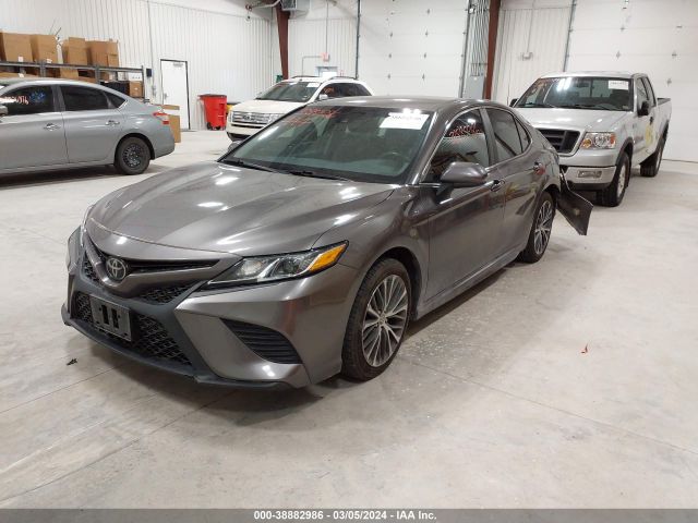 4T1B11HK8JU075004 Toyota CAMRY SE