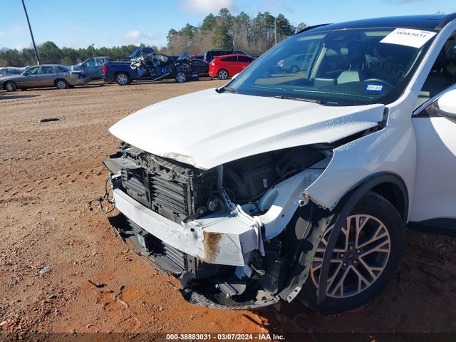 Ford ESCAPE SEL 2020 1FMCU0H6XLUA46826 Image 6