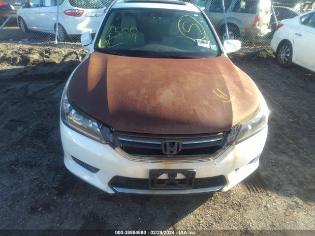 Honda Accord Ex-l 2014 1HGCR2F85EA300535 Image 11