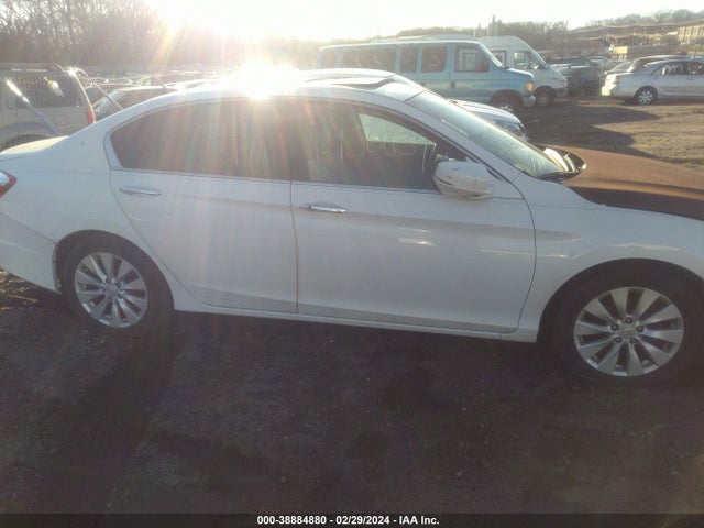 Honda Accord Ex-l 2014 1HGCR2F85EA300535 Image 12