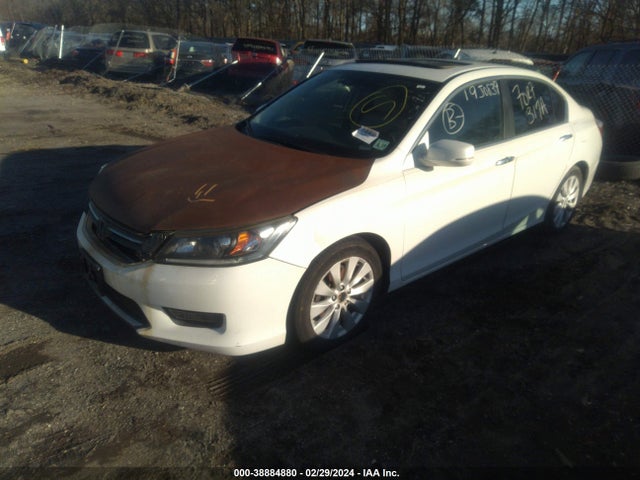 Honda Accord Ex-l 2014 1HGCR2F85EA300535 Image 2