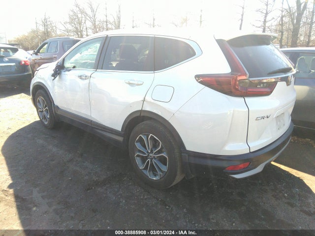 Honda Cr-v Awd Ex 2022 5J6RW2H55NA014747 Image 3