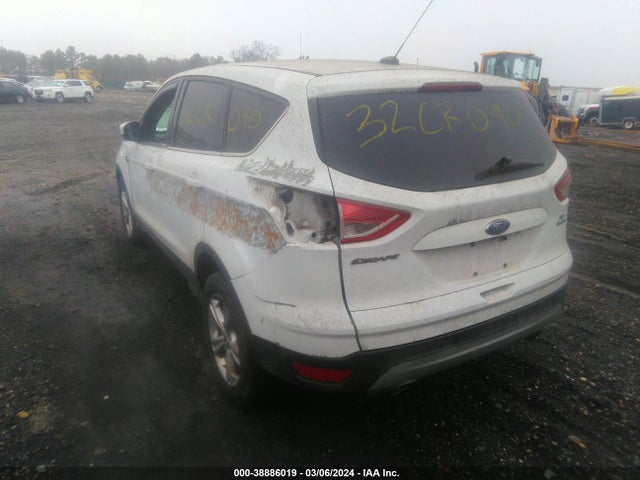 Ford ESCAPE SE 2015 1FMCU9GX8FUC65593 Image 3