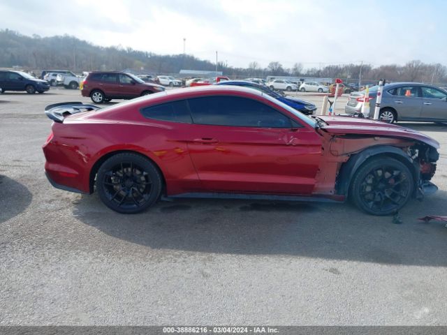 1FA6P8CF7H5209096 Ford Mustang Gt Premium