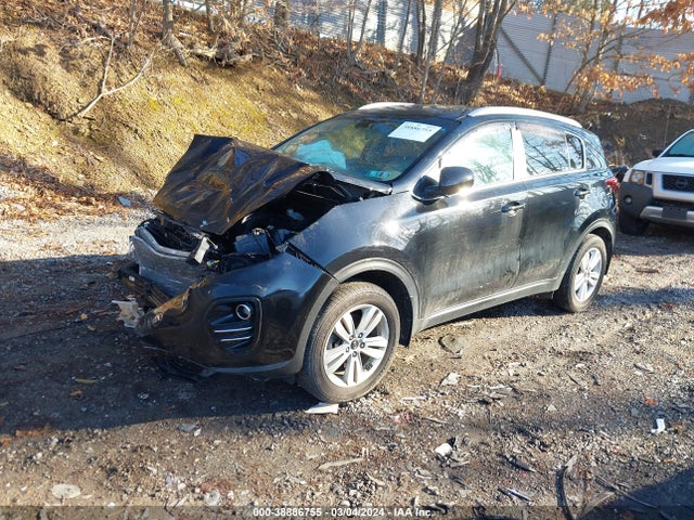 KIA Sportage Lx 2017 KNDPMCAC6H7239536 Image 2