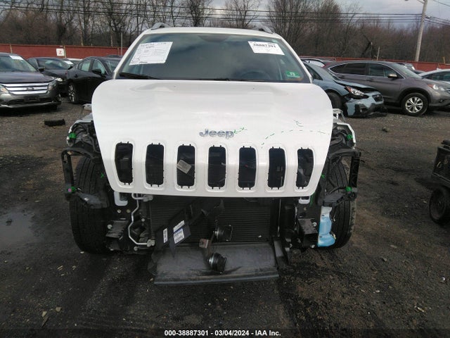 Jeep Cherokee Limited 2016 1C4PJMDB4GW249097 Image 12