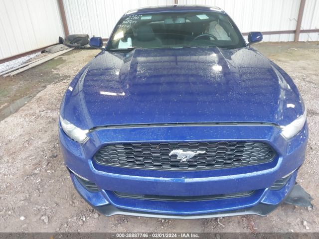 1FA6P8AM0G5301473 Ford Mustang V6