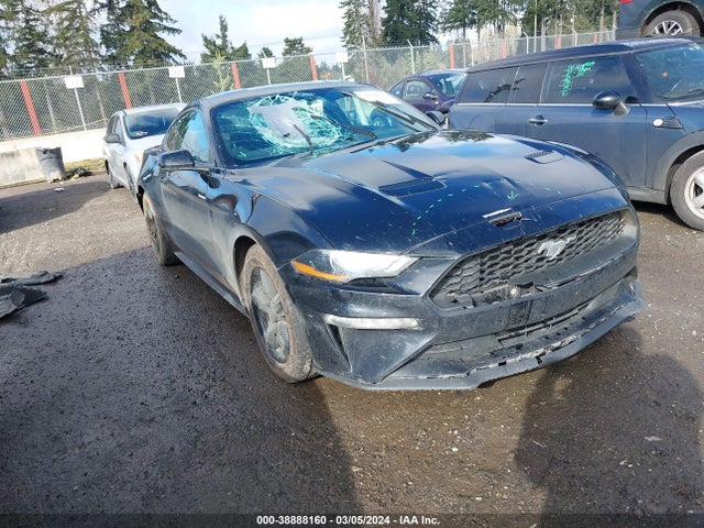 Ford Mustang Ecoboost 2019 1FA6P8TH2K5186190 Image 1