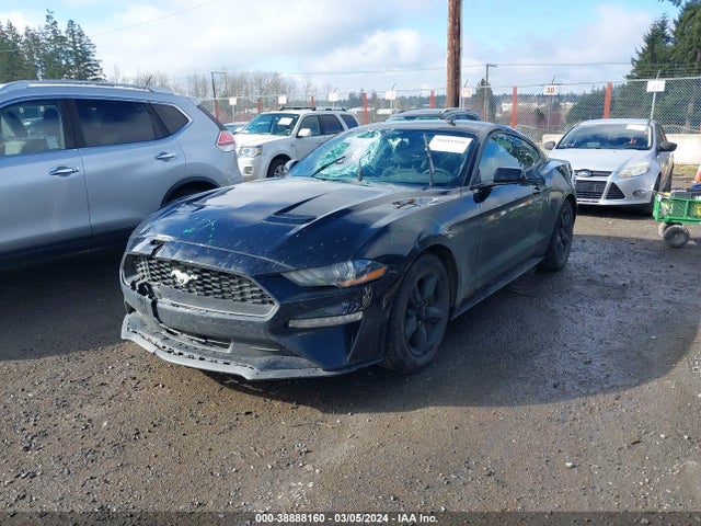 Ford Mustang Ecoboost 2019 1FA6P8TH2K5186190 Image 2