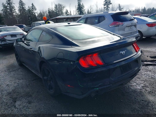 Ford Mustang Ecoboost 2019 1FA6P8TH2K5186190 Image 3