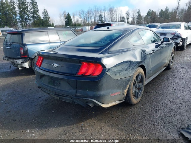 Ford Mustang Ecoboost 2019 1FA6P8TH2K5186190 Image 4