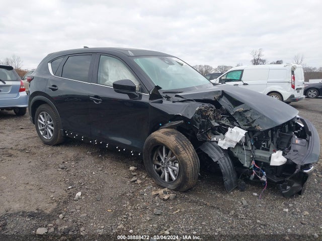 2023 JM3KFBCM4P0275101 главное изображение