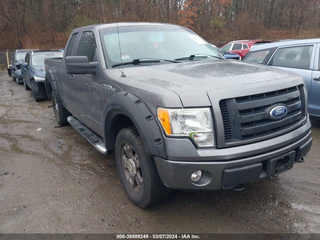 2010 FORD F-150 STX/XL/XLT VIN: 1FTEX1E86AFA56254