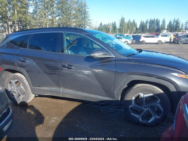 Hyundai Tucson Limited 2022 5NMJECAEXNH135138 Image 13