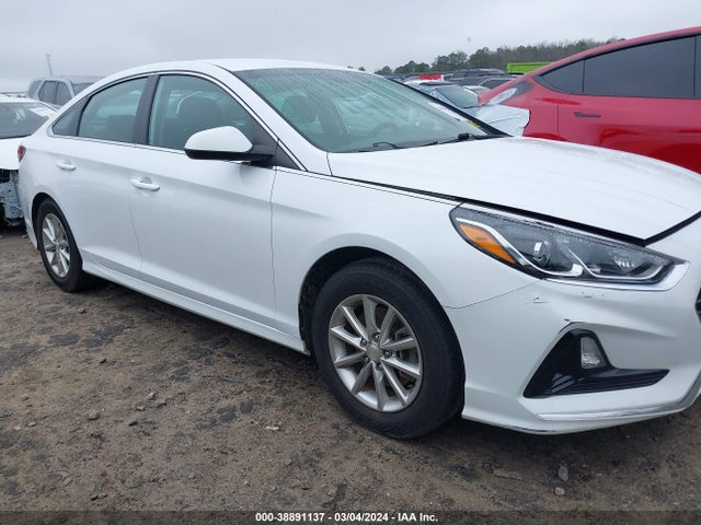 Hyundai SONATA SE 2019 5NPE24AF1KH777044 Image 13