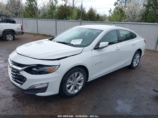 2024 CHEVROLET MALIBU FWD 1LT VIN: 1G1ZD5ST0RF115751