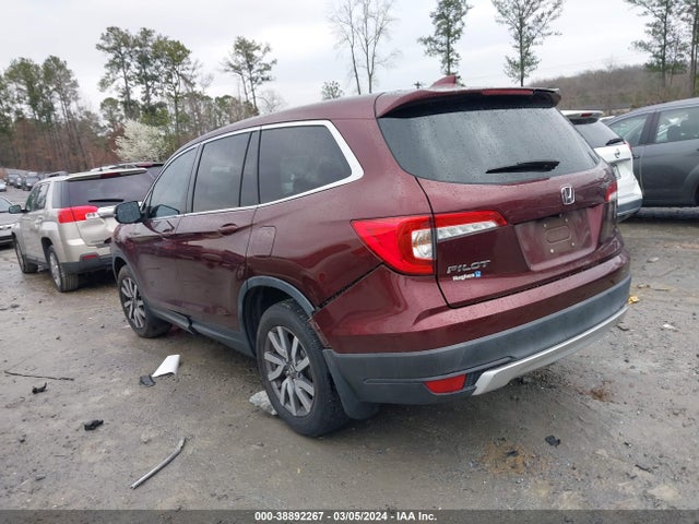 Honda Pilot Ex 2019 5FNYF5H34KB022830 Image 3