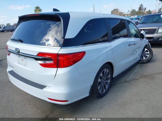 Honda Odyssey Ex-l 2023 5FNRL6H64PB019835 Image 4