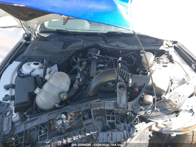 Ford Mustang Ecoboost Fastback 2021 1FA6P8TH7M5137442 Image 10