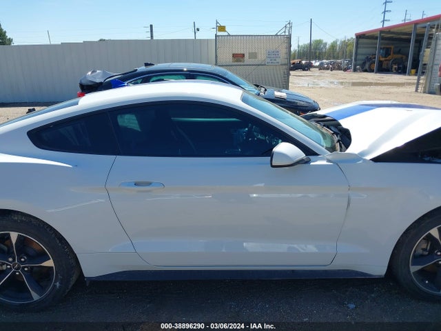 Ford Mustang Ecoboost Fastback 2021 1FA6P8TH7M5137442 Image 14