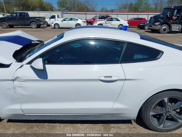 Ford Mustang Ecoboost Fastback 2021 1FA6P8TH7M5137442 Image 15