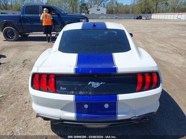Ford Mustang Ecoboost Fastback 2021 1FA6P8TH7M5137442 Image 17