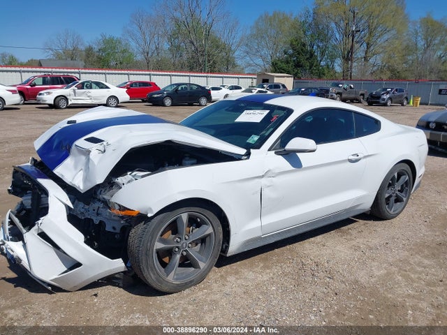 Ford Mustang Ecoboost Fastback 2021 1FA6P8TH7M5137442 Image 2