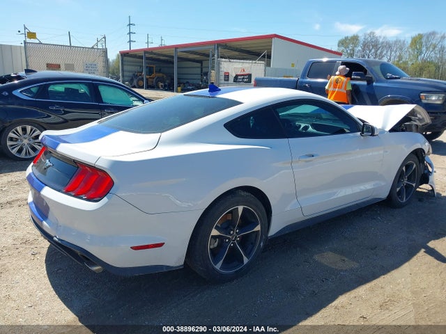 Ford Mustang Ecoboost Fastback 2021 1FA6P8TH7M5137442 Image 4