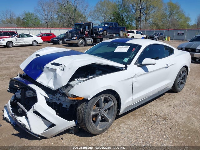 Ford Mustang Ecoboost Fastback 2021 1FA6P8TH7M5137442 Image 6