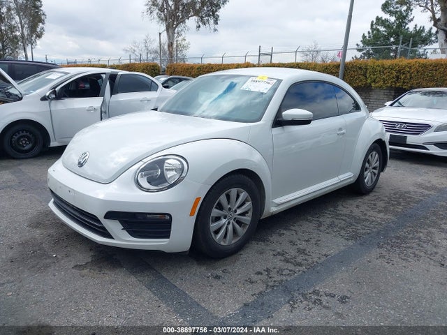 3VWFD7AT1KM713552 Volkswagen Beetle 2.0t Final Edition Se/2.0t Final Edition Sel/2.0t S