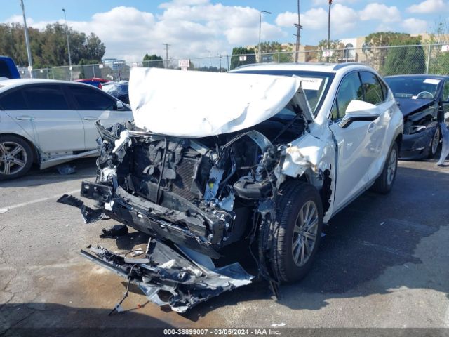 JTJYARBZ3J2092742 Lexus NX 300