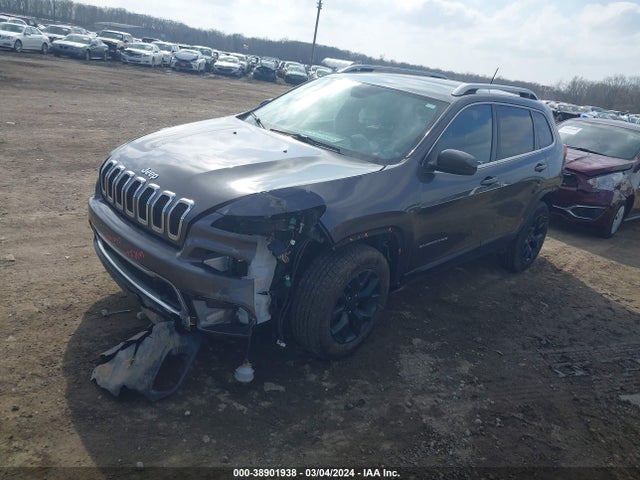 Jeep Cherokee Limited 2015 1C4PJMDS8FW666320 Image 2
