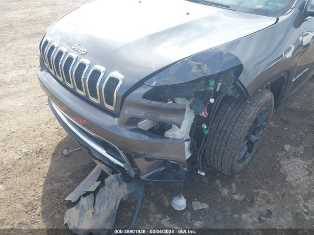 Jeep Cherokee Limited 2015 1C4PJMDS8FW666320 Image 6