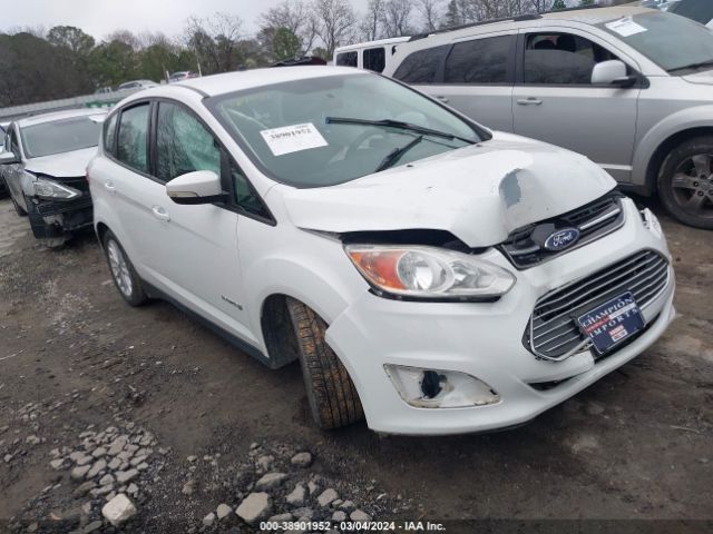 1FADP5AU0FL102133 auction archive image