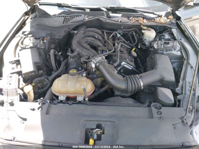 1FA6P8AM8G5201198 Ford Mustang V6