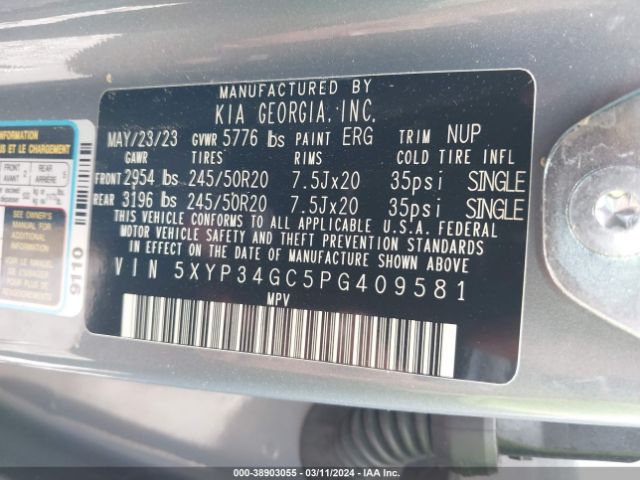 5XYP34GC5PG409581 KIA Telluride Ex