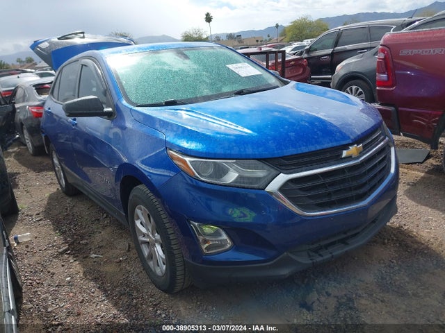 Chevrolet EQUINOX LS 2019 3GNAXHEV4KS604480 Image 1