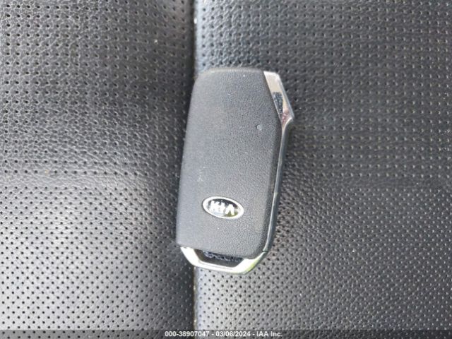 5XYP34HC6LG066286 KIA Telluride Ex