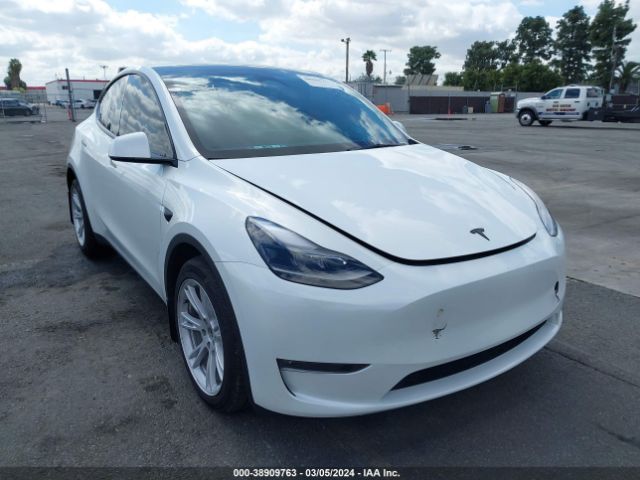 2023 TESLA MODEL Y 7SAYGDEEXPF805528