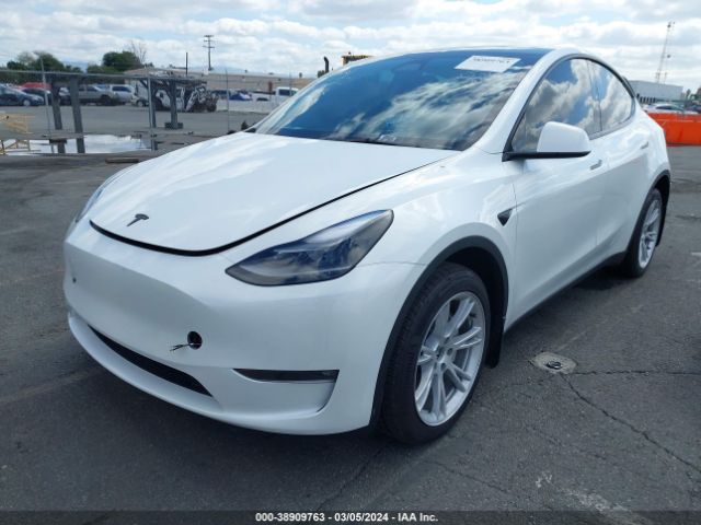 2023 TESLA MODEL Y 7SAYGDEEXPF805528 Photo 1