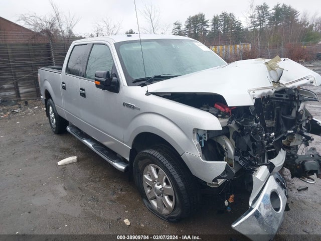 Ford F-150 Xlt 2014 1FTFW1EFXEKF98816 Image 13