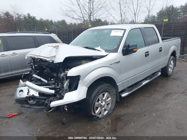 Ford F-150 Xlt 2014 1FTFW1EFXEKF98816 Image 2