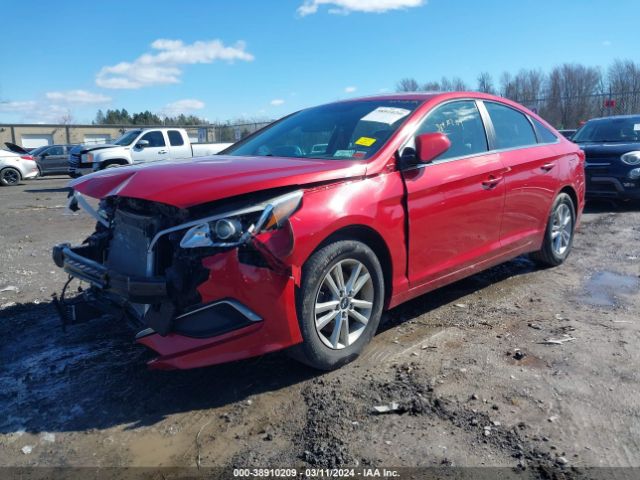 5NPE24AF5HH516539 Hyundai Sonata