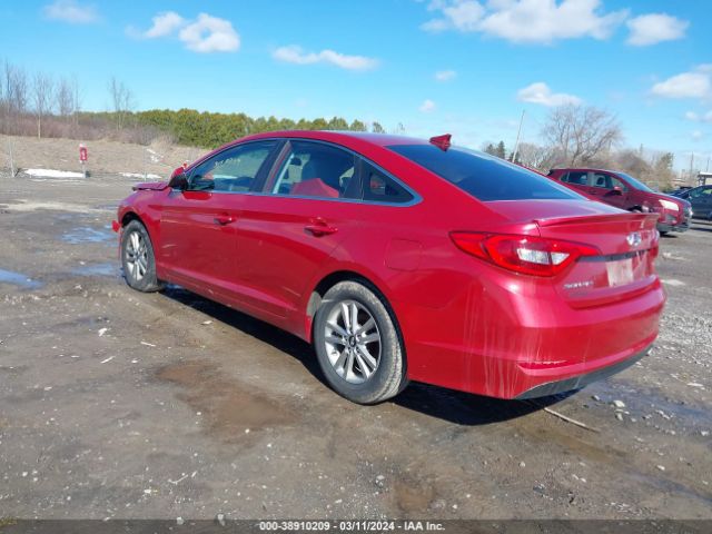 5NPE24AF5HH516539 Hyundai Sonata